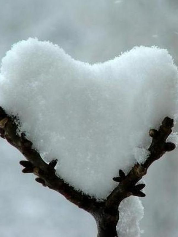 Cuore di Neve