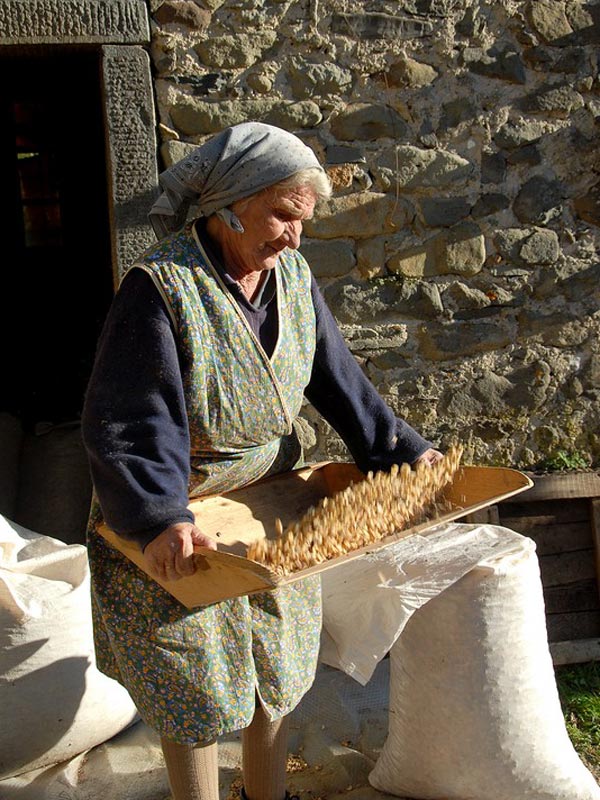 Spulatura (ventilazione delle castagne essiccate)