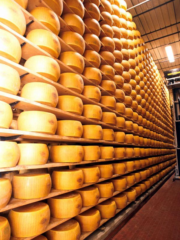 stagionatura Parmigiano Reggiano