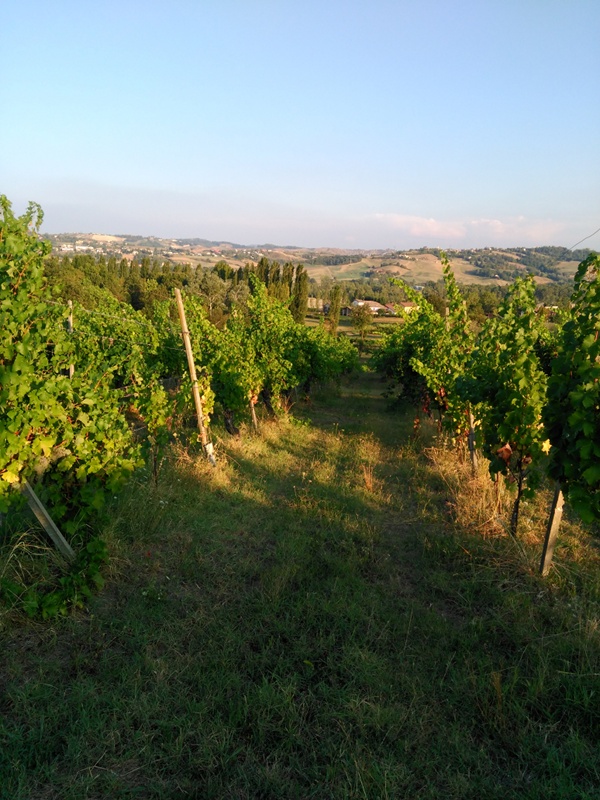 Workshop MaB UNESCO: Cantina Carra