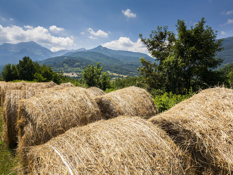 04.Balloni Rigoso (Concari-Cattabiani)