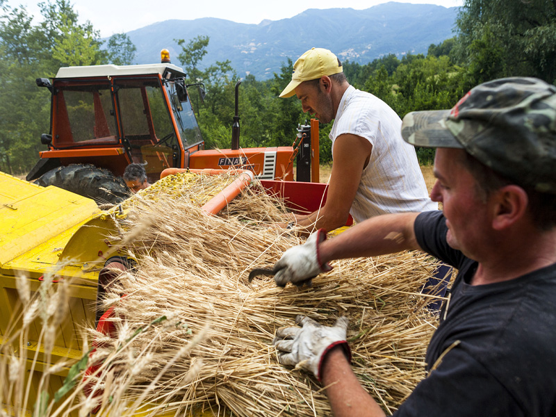 10.Trebbiatura a mano Ballone (Concari-Cattabiani)