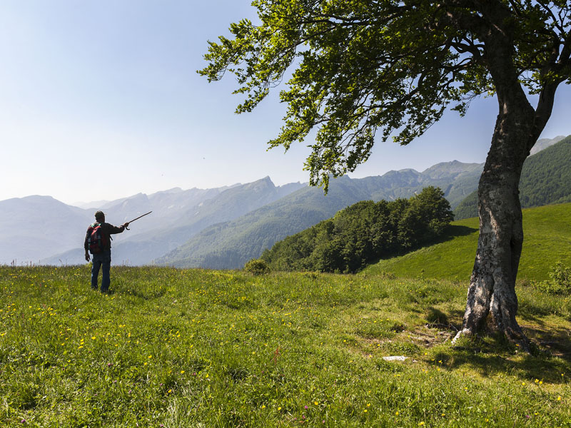 13.Pastore Monte Tavola (Concari-Cattabiani)