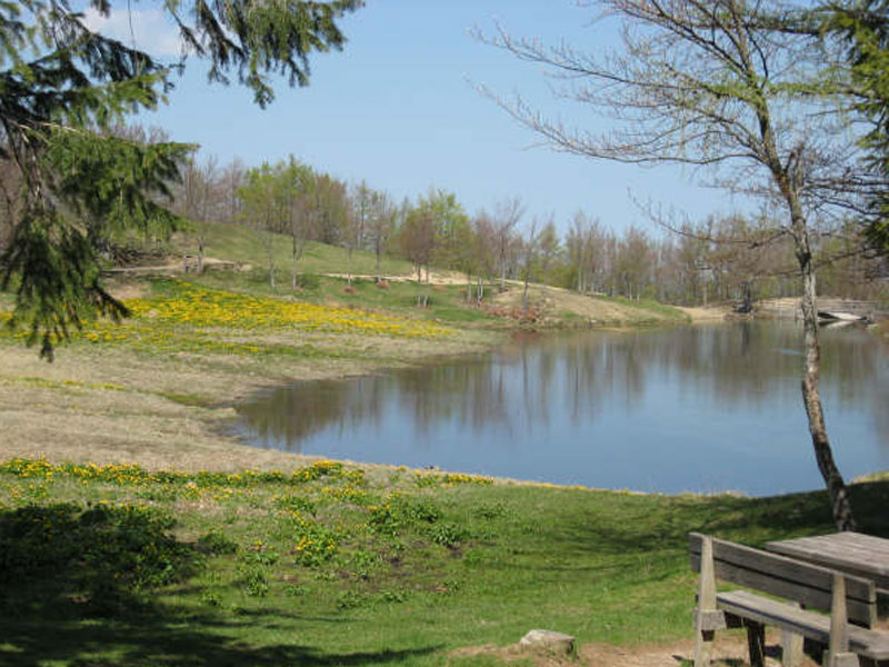 Lago Calamone