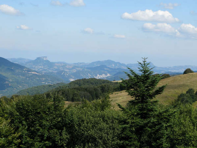 Pietra da Monte Zuccalone